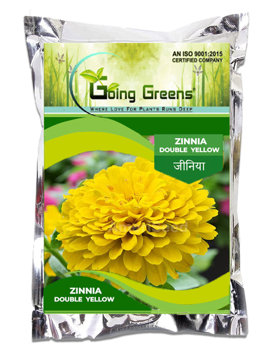 Zinnia Double Yellow Flower Seeds