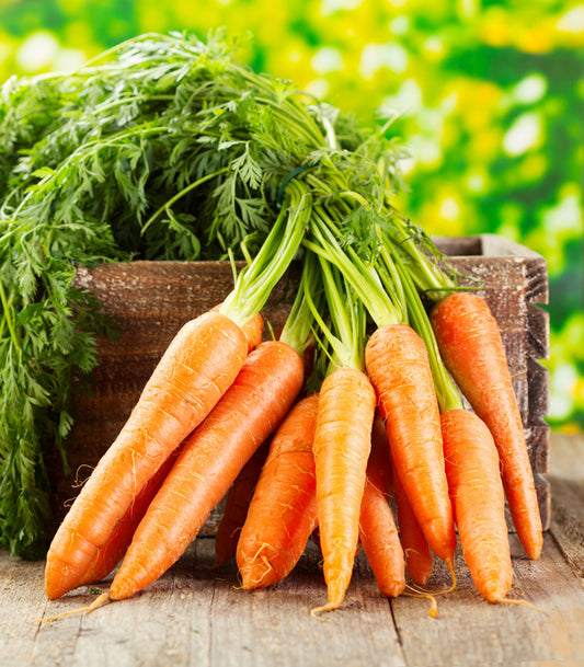 Carrot Nantes (Gajar) Seeds