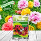 Portulaca Flower Seeds