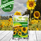 Sunflower Russian Giant Flower Seeds