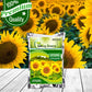 Sunflower Tall Sungold Flower Seeds