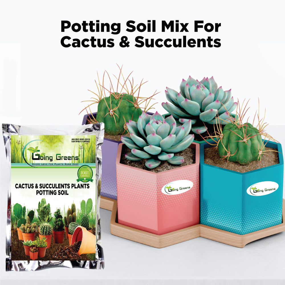 Potting Soil Mix for Cactus & Succulent