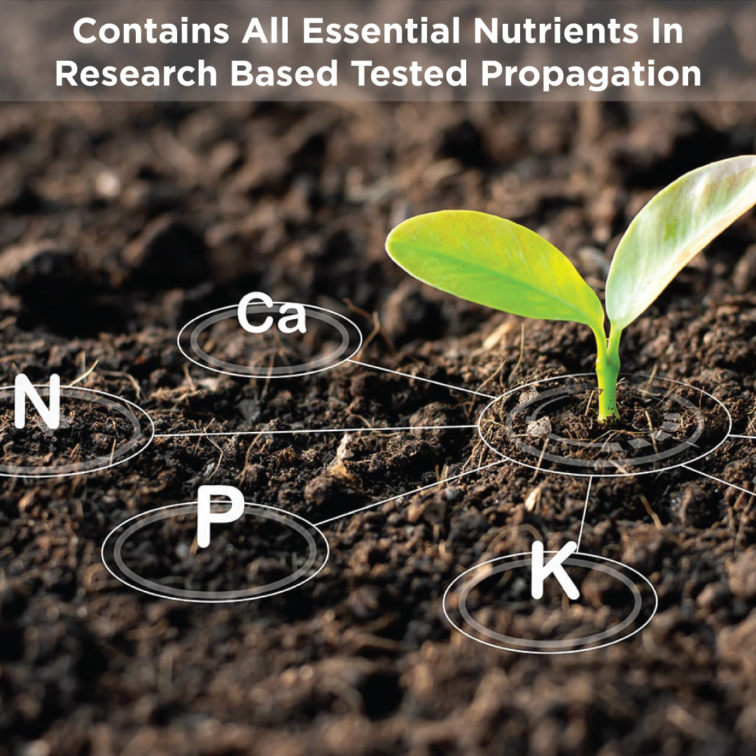 Potting Soil Mix for Seeds & Bulbs Germination