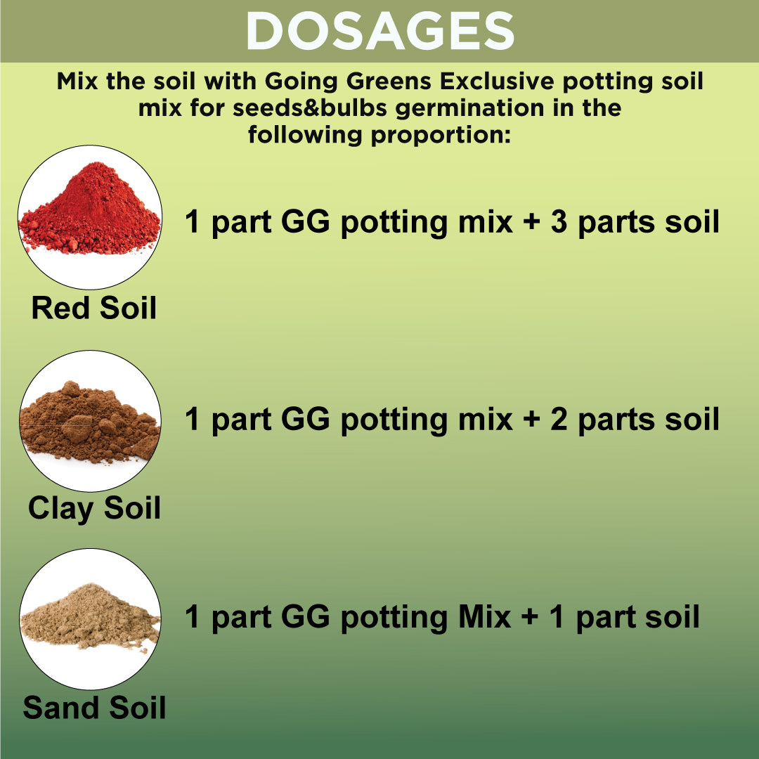 Potting Soil Mix for Seeds & Bulbs Germination