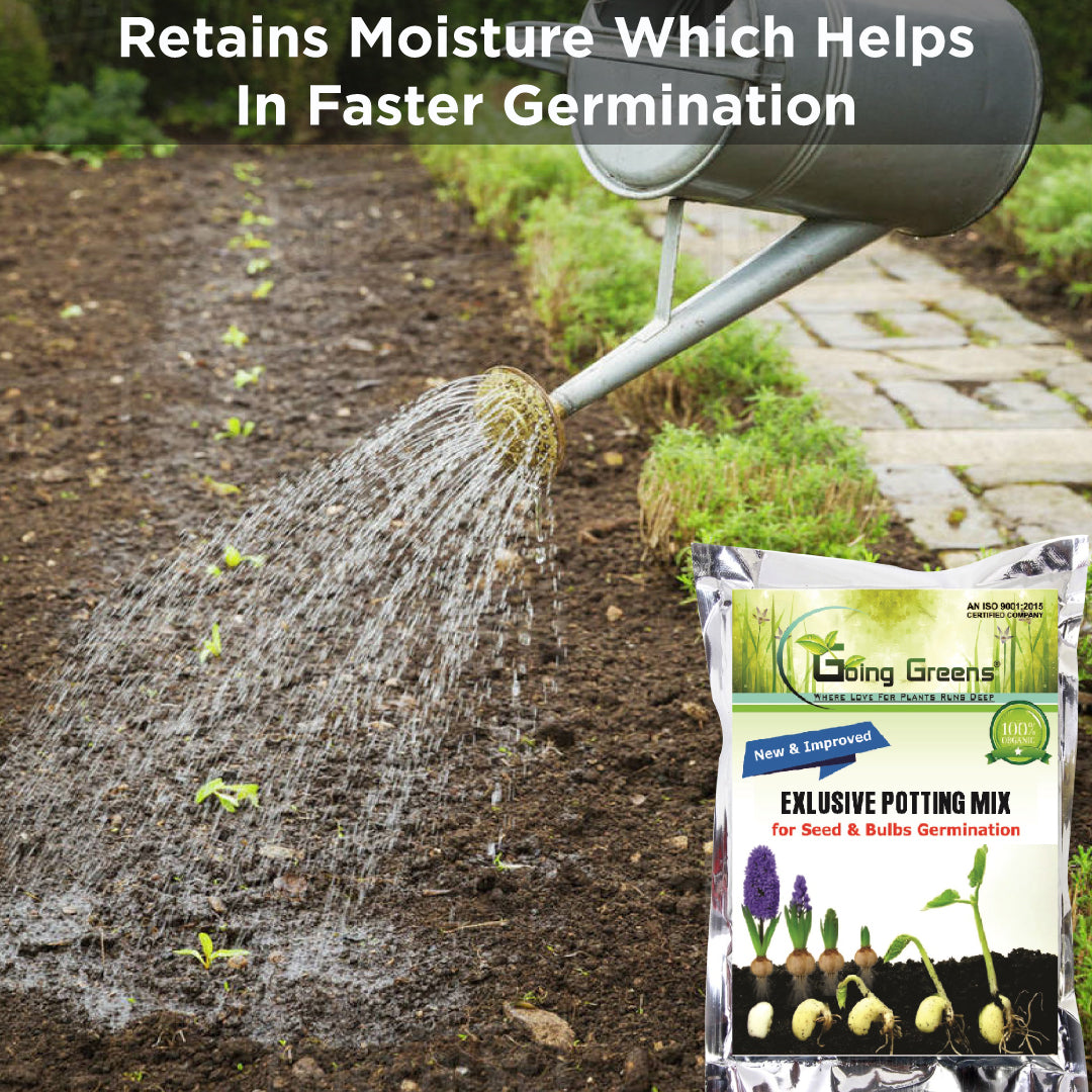 Potting Soil Mix for Seeds & Bulbs Germination