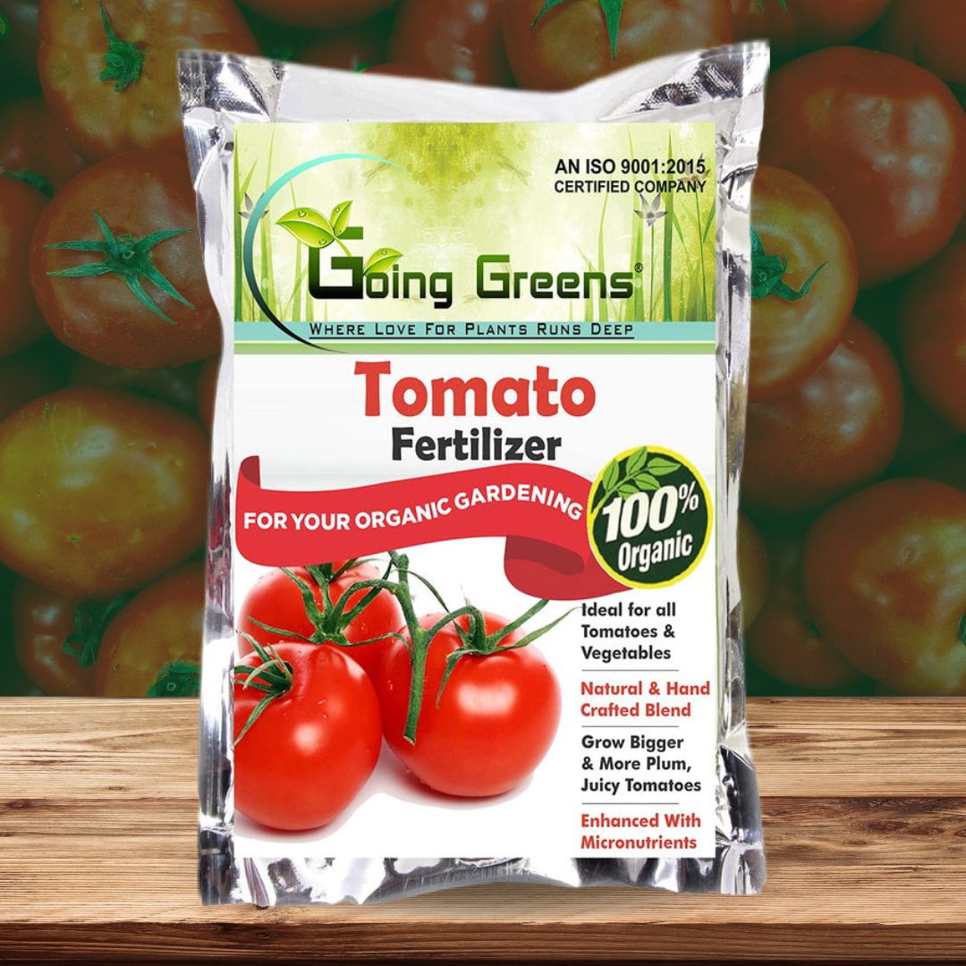 Tomato Fertilizer