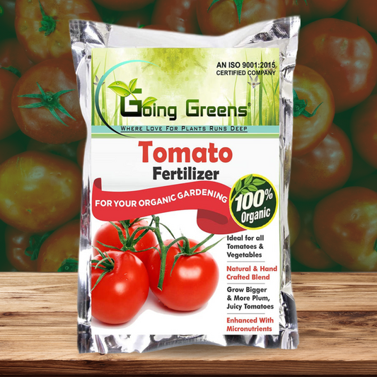 Tomato Fertilizer