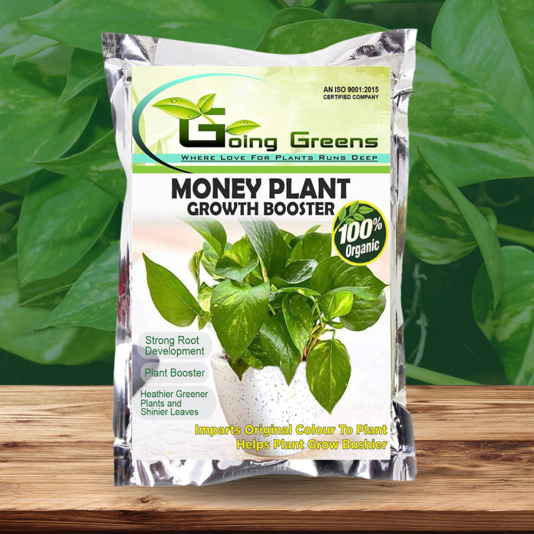 Money Plant Booster