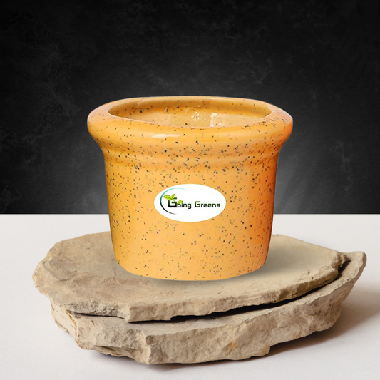 Ceramic Pot for Succulents & Cactus (Yellow)