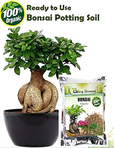 Bonsai Potting Soil Mix