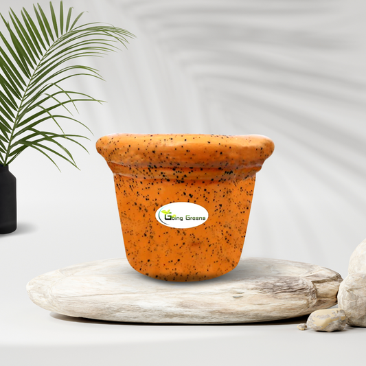 Ceramic Pot for Succulents & Cactus (Orange)