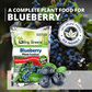 Blueberry Fertilizer