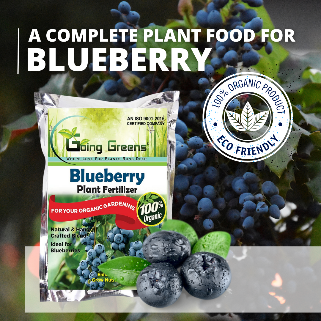 Blueberry fertilizer online