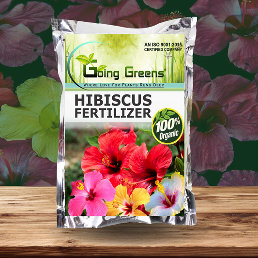 Hibiscus Flower Booster
