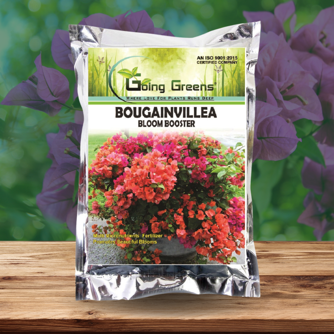 Bougainvillea Fertilizer - front image