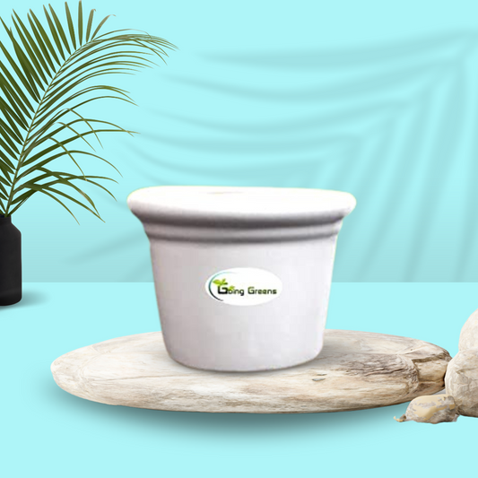 Ceramic Pot for Succulents & Cactus (White)