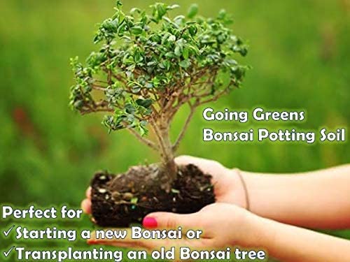 Bonsai Potting Soil Mix
