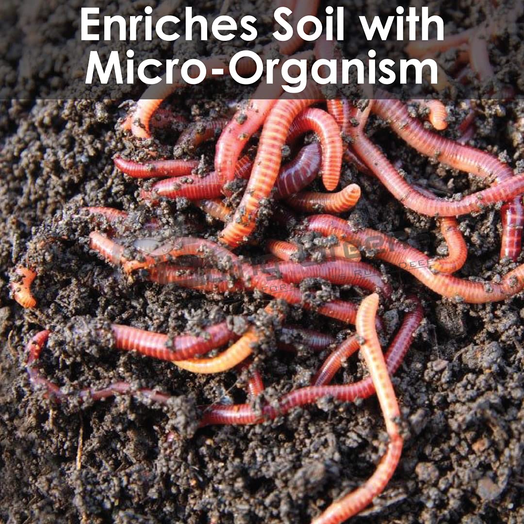 Vermicompost - 100% Organic Fertilizer & Manure