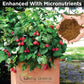 Raspberry Fertilzer