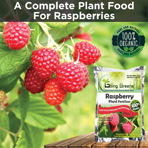 Raspberry Fertilzer