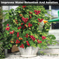 Raspberry Fertilzer