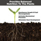 Plant Food