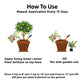 Lemon Fertilizer