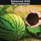 Watermelon Fertlizer