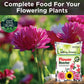 Flower Booster