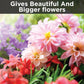 Flower Booster