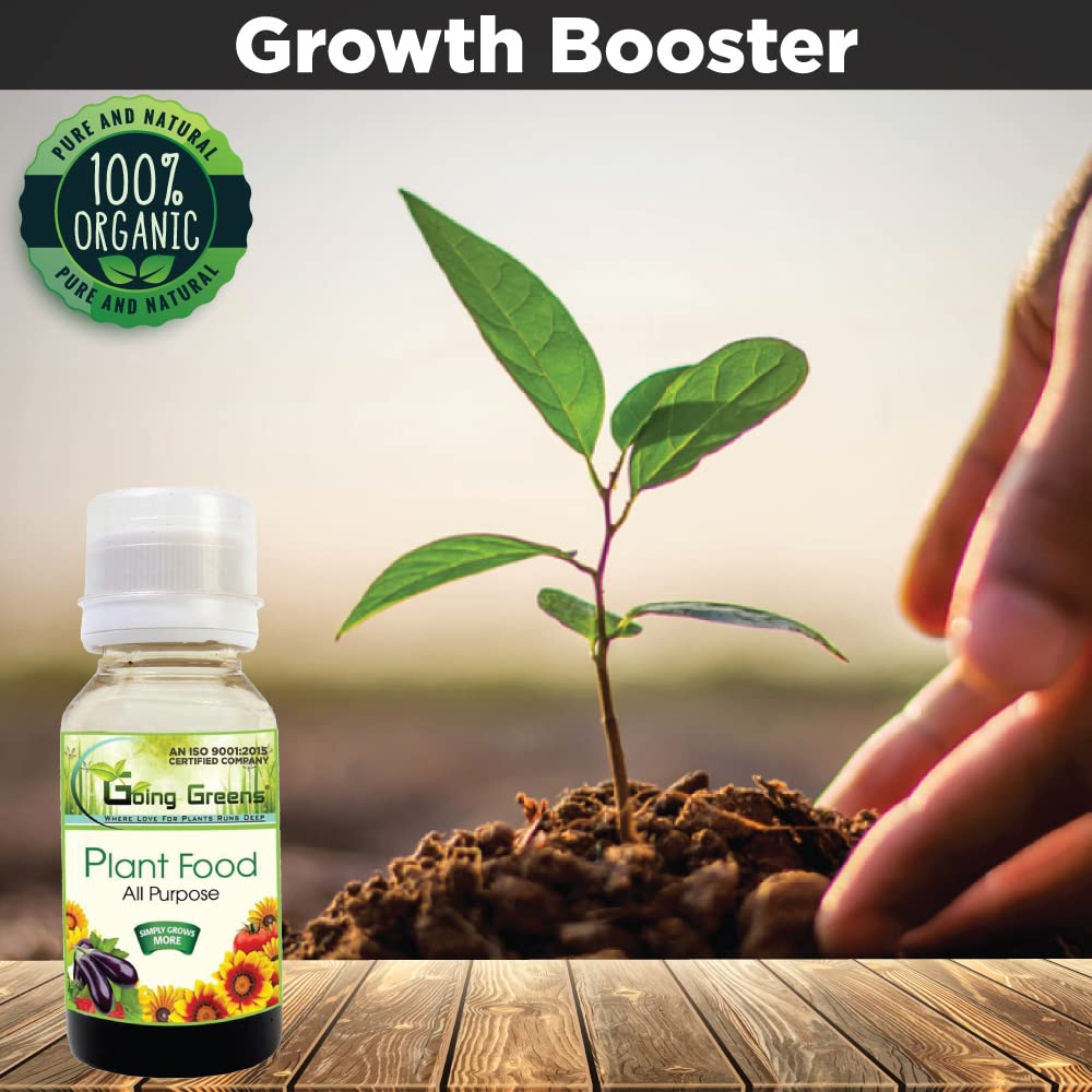 Plant Food