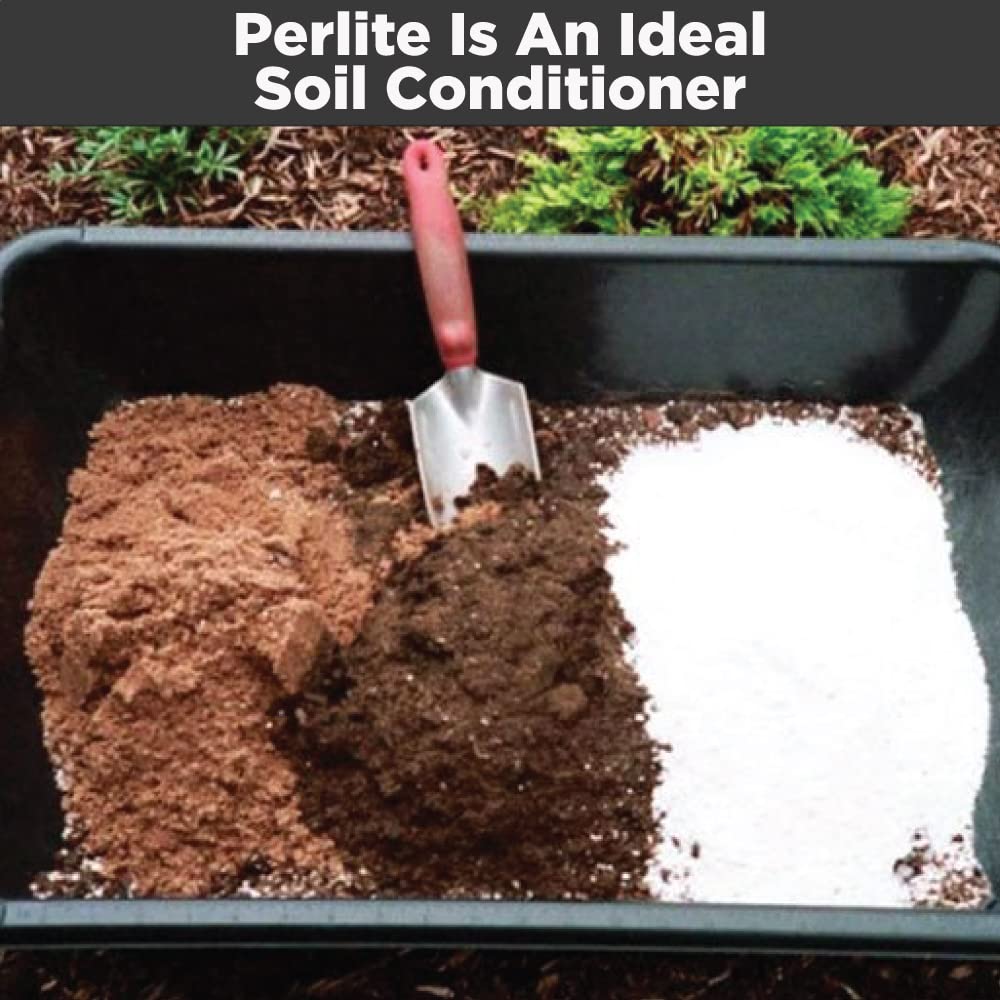 Perlite for Plants