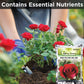 Rose Potting Soil Mix