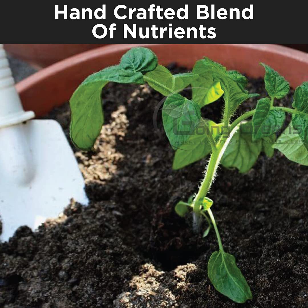 Tomato Fertilizer