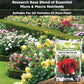 Rose Potting Soil Mix