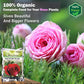 Rose Potting Soil Mix