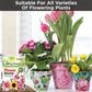 Flower Booster
