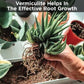 Vermiculite