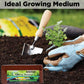 Cocopeat Block