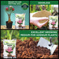 Adenium Potting Soil Mix