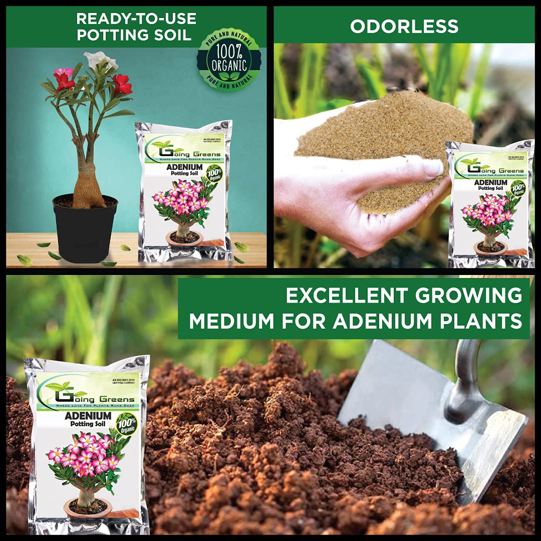 Adenium Potting Soil Mix
