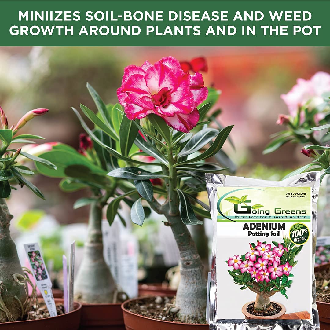 Adenium Potting Soil Mix