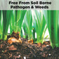 Cocopeat Block