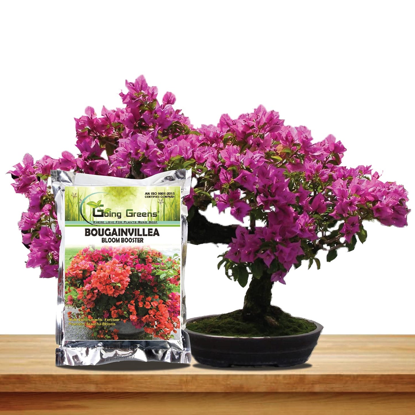 Bougainvillea Fertilizer - 2nd image