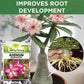Adenium Booster