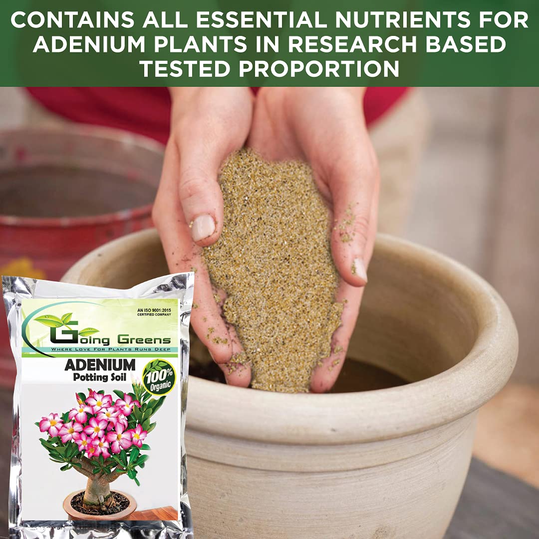 Adenium Potting Soil Mix