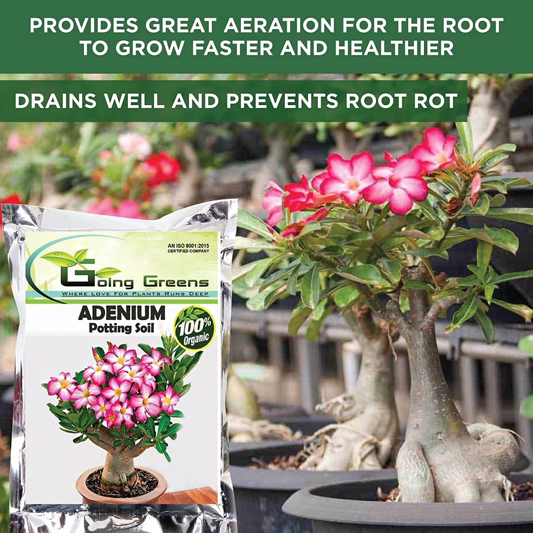 Adenium Potting Soil Mix