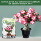 Adenium Potting Soil Mix