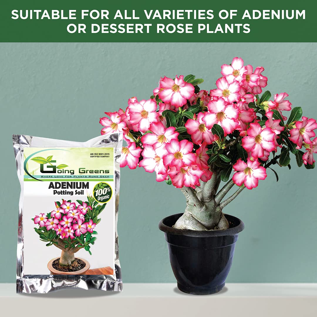 Adenium Potting Soil Mix