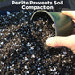 Perlite for Plants